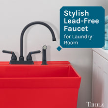 Cargar imagen en el visor de la galería, Tehila Black Finish Gooseneck Faucet with Side Sprayer