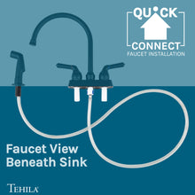 Cargar imagen en el visor de la galería, Tehila Black Finish Gooseneck Faucet with Side Sprayer