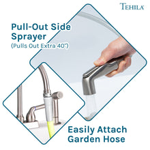 Cargar imagen en el visor de la galería, Tehila Stainless Steel Finish Gooseneck Faucet with Side Sprayer