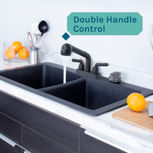 Cargar imagen en el visor de la galería, Tehila Black Finish Pull-Out Faucet