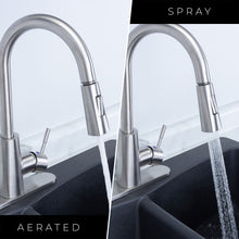 Cargar imagen en el visor de la galería, Tehila Stainless Steel Finish High-Arc Pull-Down Faucet