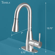 Cargar imagen en el visor de la galería, Tehila Stainless Steel Finish Low Profile Pull-Down Faucet