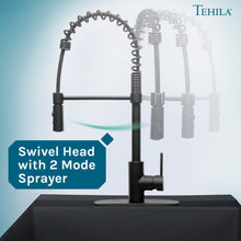 Cargar imagen en el visor de la galería, Tehila Black Finish High Arc Coil Pull-Down Faucet