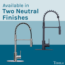 Cargar imagen en el visor de la galería, Tehila Black Finish High Arc Coil Pull-Down Faucet