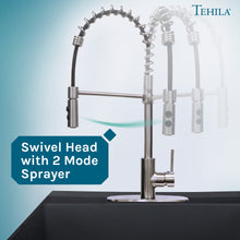 Cargar imagen en el visor de la galería, Tehila Stainless Steel Finish High Arc Coil Pull-Down Faucet