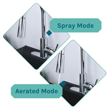 Carregar imagem no visualizador da galeria, Tehila Standard Freestanding Black Utility Sink with Chrome Finish High-Arc Pull-Down Faucet