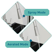 Cargar imagen en el visor de la galería, Tehila Standard Freestanding Black Utility Sink with Stainless Steel Finish High-Arc Pull-Down Faucet