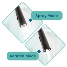 Carregar imagem no visualizador da galeria, Tehila Standard Freestanding Black Utility Sink with Black Finish High-Arc Pull-Down Faucet and Soap Dispenser