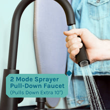 Carregar imagem no visualizador da galeria, Tehila Standard Freestanding Black Utility Sink with Black Finish High-Arc Pull-Down Faucet and Soap Dispenser