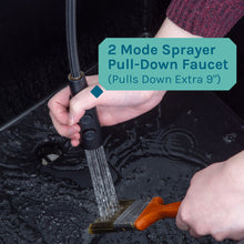 Cargar imagen en el visor de la galería, Tehila Standard Freestanding Black Utility Sink with Black Finish High-Arc Coil Pull-Down Faucet