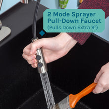 Cargar imagen en el visor de la galería, Tehila Standard Freestanding Black Utility Sink with Stainless Steel Finish High-Arc Coil Pull-Down Faucet