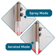 Cargar imagen en el visor de la galería, Tehila Standard Freestanding Red Utility Sink with Stainless Steel Finish High-Arc Coil Pull-Down Faucet