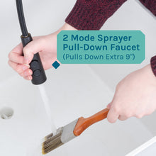 Carregar imagem no visualizador da galeria, Tehila Standard Freestanding White Utility Sink with Black Finish High-Arc Coil Pull-Down Faucet