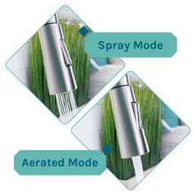 Load image into Gallery viewer, Tehila Black Vanity Cabinet and White Utility Sink with Stainless Steel Finish High-Arc Pull-Down Faucet