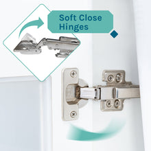 Cargar imagen en el visor de la galería, Tehila White Vanity Cabinet and White Utility Sink with Stainless Steel Finish High-Arc Coil Pull-Down Faucet