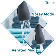 Carregar imagem no visualizador da galeria, Tehila Space Saver Freestanding Black Utility Sink with Black Finish Low-Profile Pull-Down Faucet