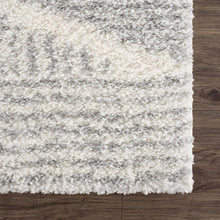 Load image into Gallery viewer, Trunding Plush Area Rug in Gray