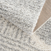 Load image into Gallery viewer, Trunding Plush Area Rug in Gray