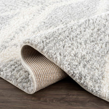 Load image into Gallery viewer, Trunding Plush Area Rug in Gray
