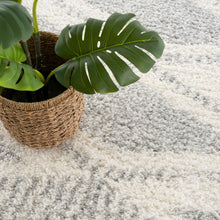 Load image into Gallery viewer, Trunding Plush Area Rug in Gray