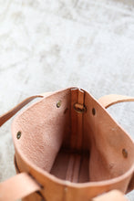 Load image into Gallery viewer, Atlas Mini Crossbody Tote