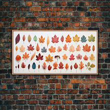 Cargar imagen en el visor de la galería, Fall Leaves Photography Study, Framed Canvas Print, Fall Decor, Autumn Decor, Fall Centerpiece, Seasonal Art, Fall Centerpiece