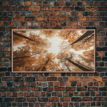 Carregar imagem no visualizador da galeria, Forest Art, Trees Wall Art, Fall Art Print, Panoramic Art, Wall Art, Canvas Art, Landscape Art, Wall Art Prints, Entryway Prints, RV Decor