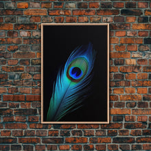 Carregar imagem no visualizador da galeria, A Lone Peacock Feather, Framed Canvas Print, Feather Photography, Beautiful & Colorful Peacock Art