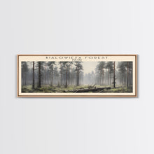 Load image into Gallery viewer, Bialowieza Forest Travel Poster Print, Framed Canvas Wall Art, Metal Wall Art, COUNTRY art, Gift For Him, Travel Wall Art, Travel Lover Gift