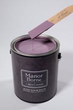 Load image into Gallery viewer, Birthday Hugs - Manor Borne Wall Paint