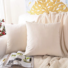Carregar imagem no visualizador da galeria, Velvet Cushion Covers
