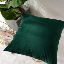 Carregar imagem no visualizador da galeria, Velvet Cushion Covers