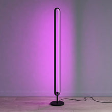 Load image into Gallery viewer, RGB Floor Lamp