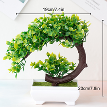 Carregar imagem no visualizador da galeria, Ornamental Bonsai Tree