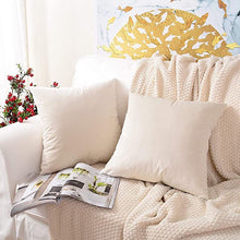 Carregar imagem no visualizador da galeria, Velvet Cushion Covers