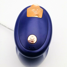 Carregar imagem no visualizador da galeria, Hand-Held Steam Iron