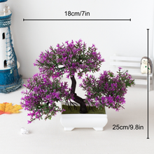 Carregar imagem no visualizador da galeria, Ornamental Bonsai Tree