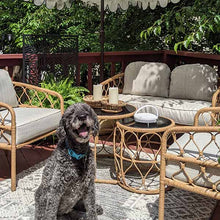 Carregar imagem no visualizador da galeria, Hand-Woven Rattan & Mango Wood Live Edge Bowl, Set of 2