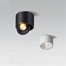 Load image into Gallery viewer, Jannis Downlight