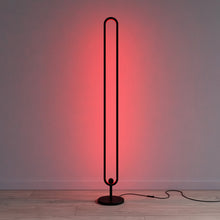 Load image into Gallery viewer, RGB Floor Lamp