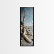Carregar imagem no visualizador da galeria, Framed Canvas Print Skinny Art of a Weathered Driftwood Tree Trunk on a Sandy Shore with a Calm Ocean Backdrop, Ideal Tall Art for Coastal Decor