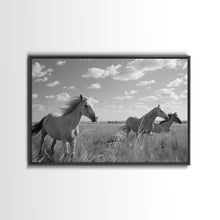 Carregar imagem no visualizador da galeria, Fine Art Framed Canvas Print, Metal Art, Black & White Photo of Wild Mustangs, Horse Art, American Horses Landscape / Nature / Wildlife Art