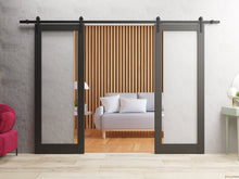 Cargar imagen en el visor de la galería, Lucia 2166 Matte Black Double Barn Door with Clear Glass and Black Rail
