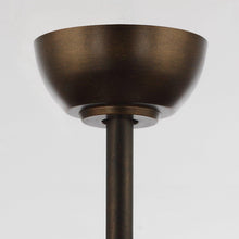 Carregar imagem no visualizador da galeria, 24" Farmhouse DC Motor Ceiling Fan with Lighting and Remote Control