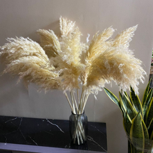 Carregar imagem no visualizador da galeria, Pampas Grass Bouquet (Set of 5)