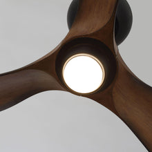 Carregar imagem no visualizador da galeria, 28" Kwang Farmhouse DC Motor Downrod Mount Reversible Ceiling Fan with LED Lighting and Remote Control