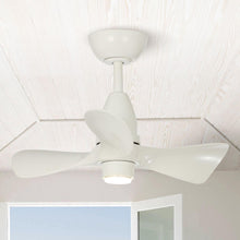 Carregar imagem no visualizador da galeria, 28" Kwang Farmhouse DC Motor Downrod Mount Reversible Ceiling Fan with LED Lighting and Remote Control