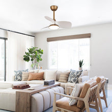 Carregar imagem no visualizador da galeria, 28" Modern DC Motor Downrod Mount Reversible Ceiling Fan with LED Lighting and Remote Control