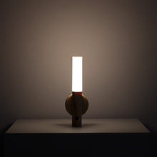 Load image into Gallery viewer, Motion Sensor Battery Light