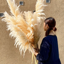 Carregar imagem no visualizador da galeria, Pampas Grass Bouquet (Set of 5)